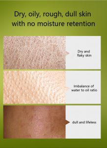 Ceramide & Vitamin B5 repair essence toner 1