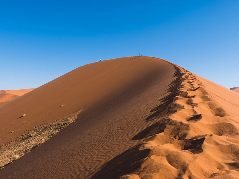 Africa